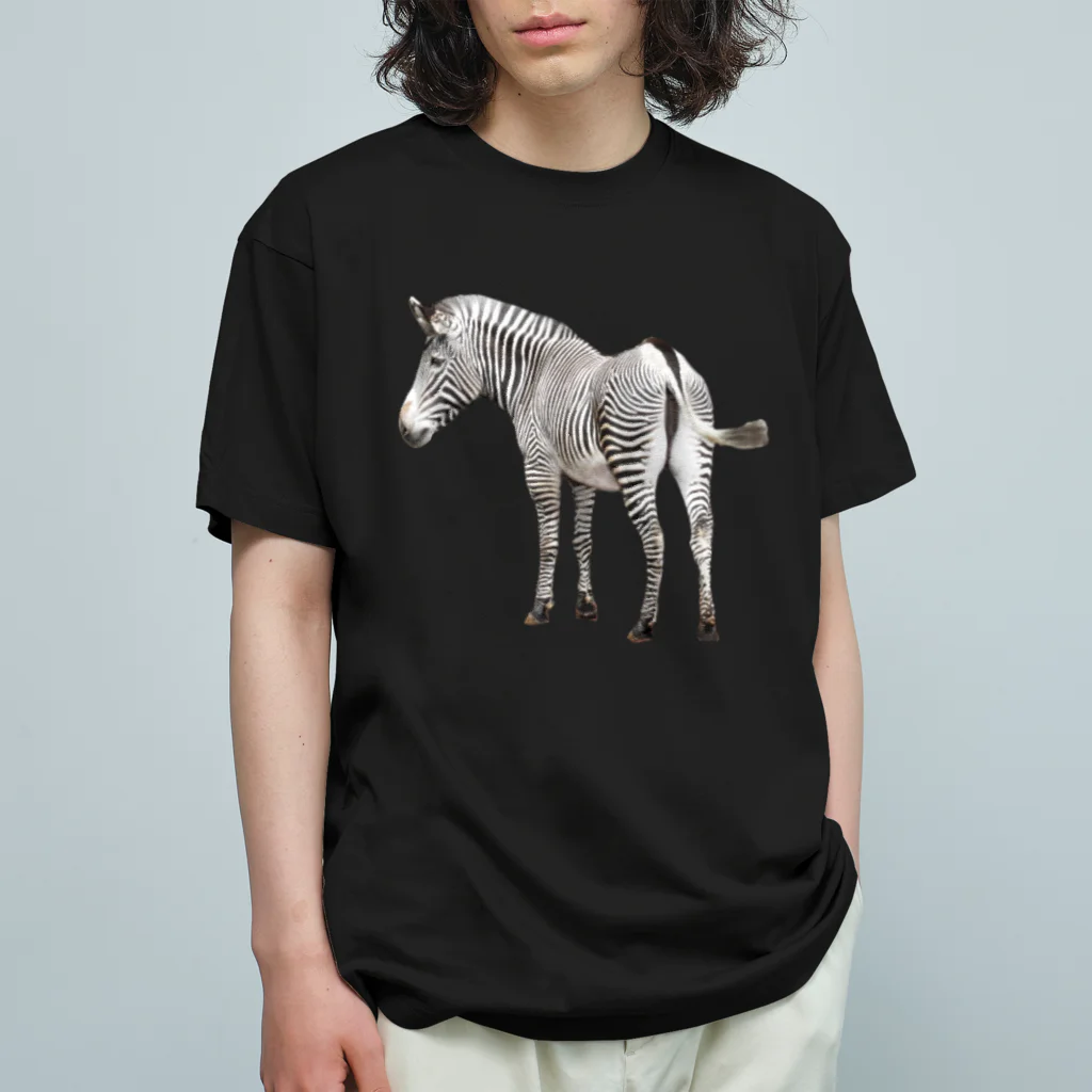 いきもの大好き！ほほえみフレンズのシマウマがシンボル Organic Cotton T-Shirt