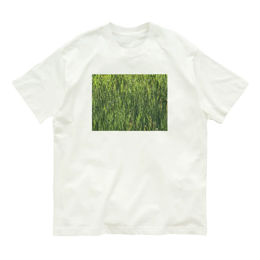 空屋　sorayakusakaの201905291758002　雨上がり Organic Cotton T-Shirt