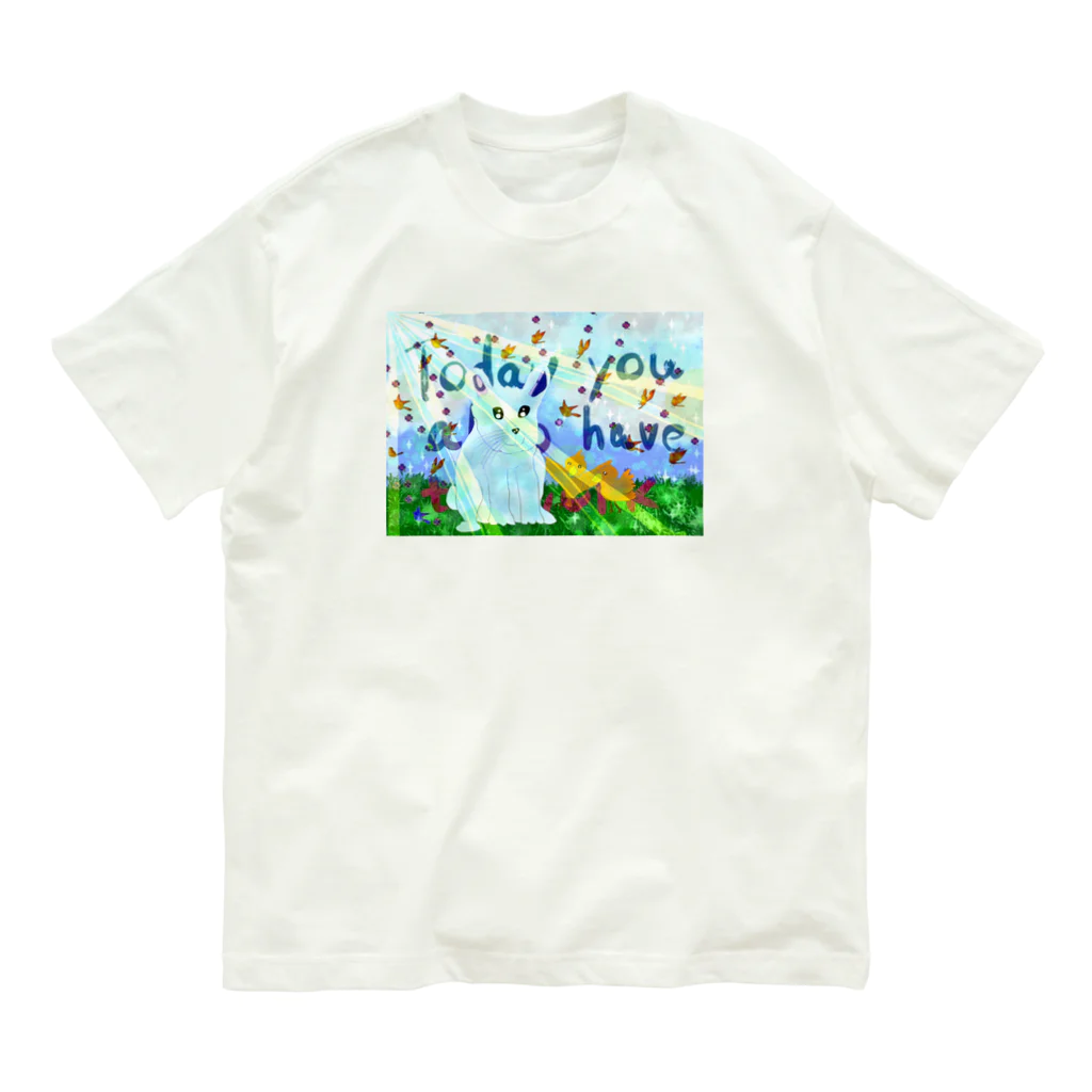 AkironBoy's_Shopのうさぎと小鳥　Harmony Organic Cotton T-Shirt