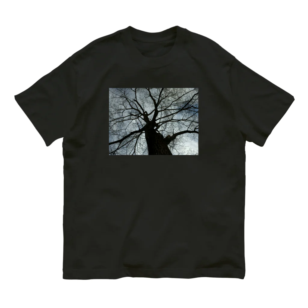 空屋　sorayakusakaの201805051602001　春の樹木 Organic Cotton T-Shirt