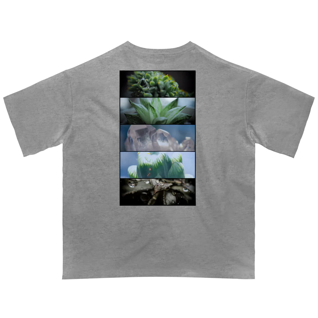 殿下と爬虫類。の多肉植物のある生活 オーバーサイズTシャツ