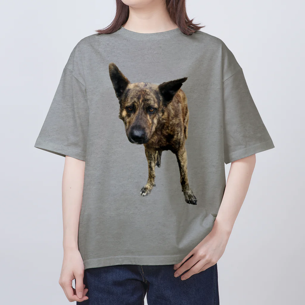 EYE CANDYの愛犬注意 オーバーサイズTシャツ