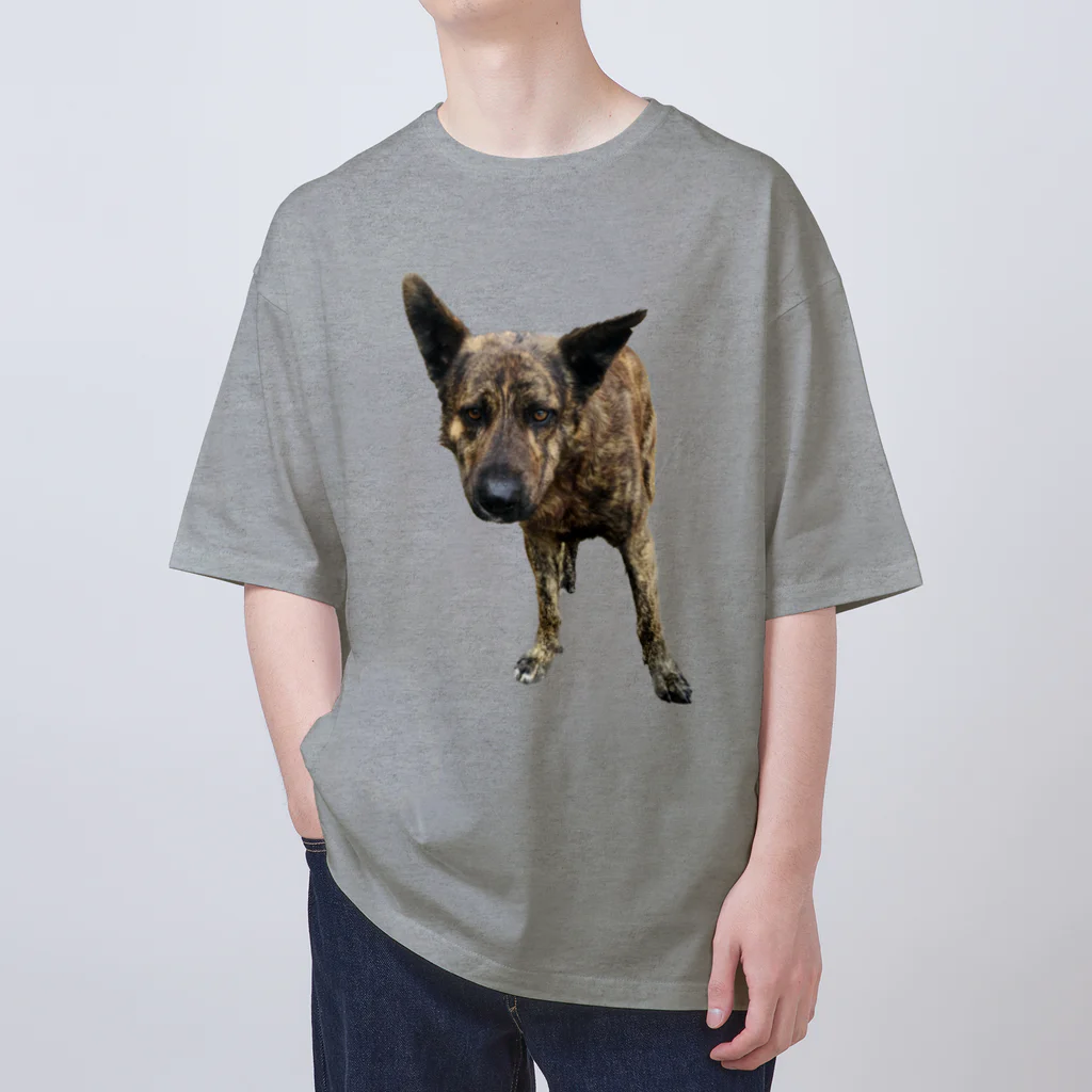 EYE CANDYの愛犬注意 Oversized T-Shirt