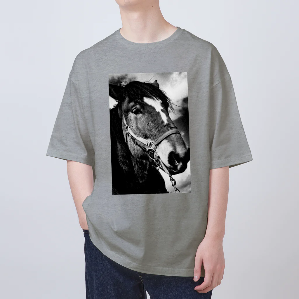 oe_photostudioの馬-HORSE- オーバーサイズTシャツ