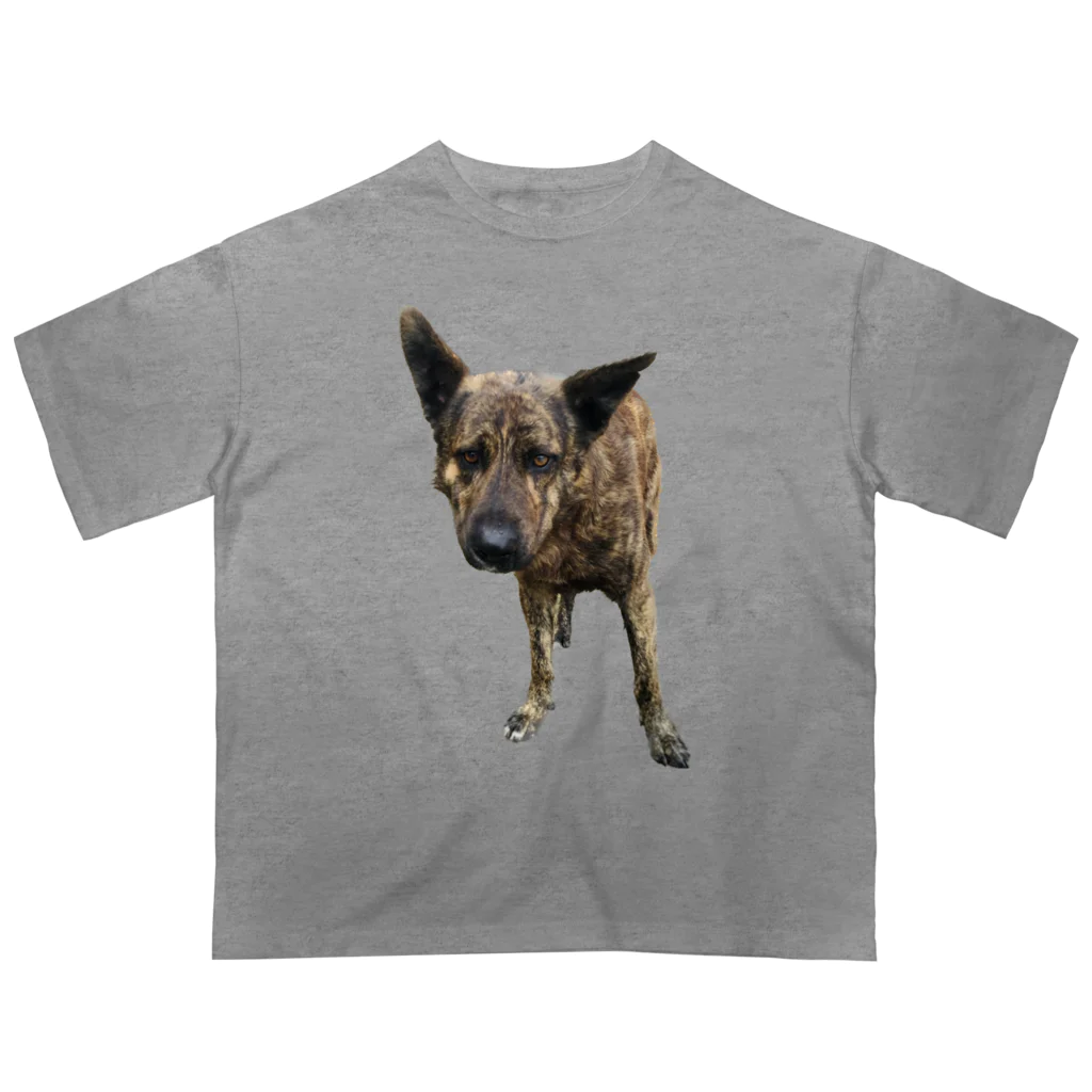 EYE CANDYの愛犬注意 オーバーサイズTシャツ