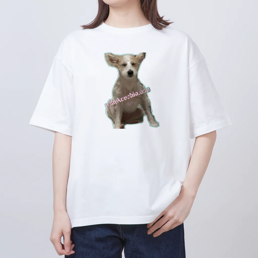 wどうぶつのぽんぽこみ オーバーサイズTシャツ