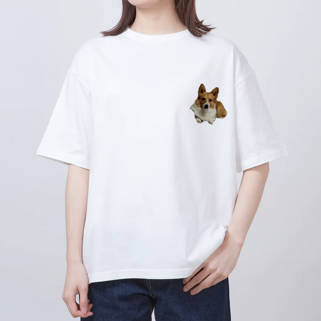 wどうぶつのこてこてつくん オーバーサイズTシャツ