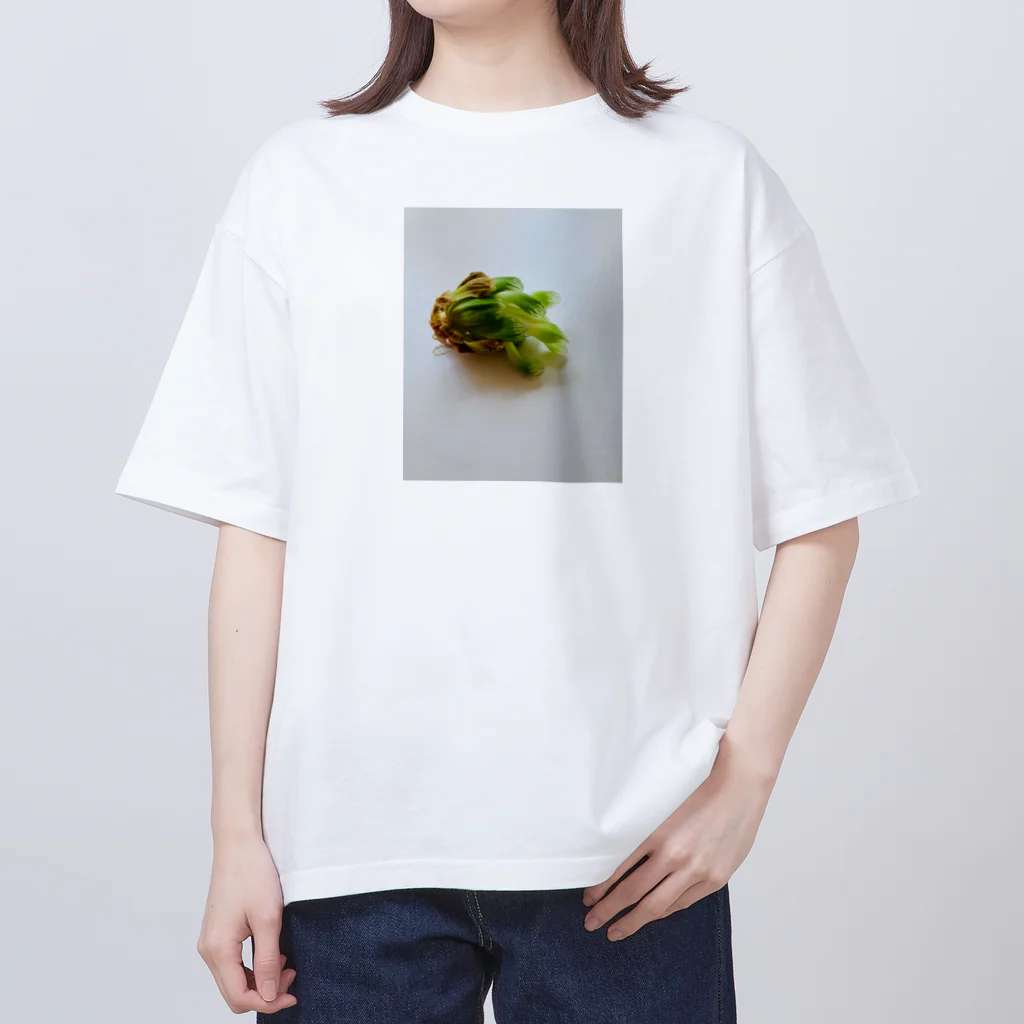 モカちゃんのサバイバー多肉 オーバーサイズTシャツ