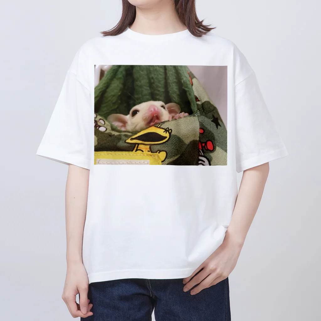 りょうさんのペット雑貨のフクロモモンガの変顔 オーバーサイズTシャツ