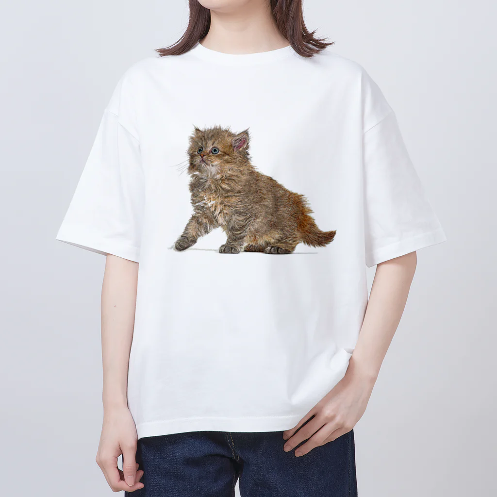 【CPPAS】Custom Pet Portrait Art Studioの可愛いブリティッシュロングヘアの子猫 オーバーサイズTシャツ
