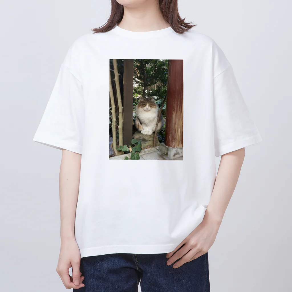 PLANET OF CATS ねこの惑星のmofuneco4 オーバーサイズTシャツ