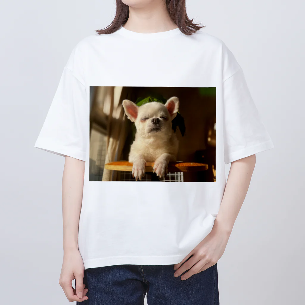 いぬいぬいぬの老犬は世界で一番素晴らしい Oversized T-Shirt