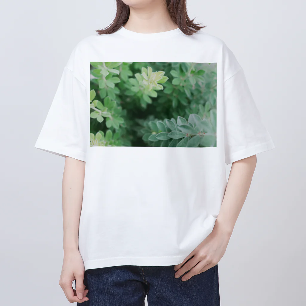 TATTUの花壇の植物 オーバーサイズTシャツ