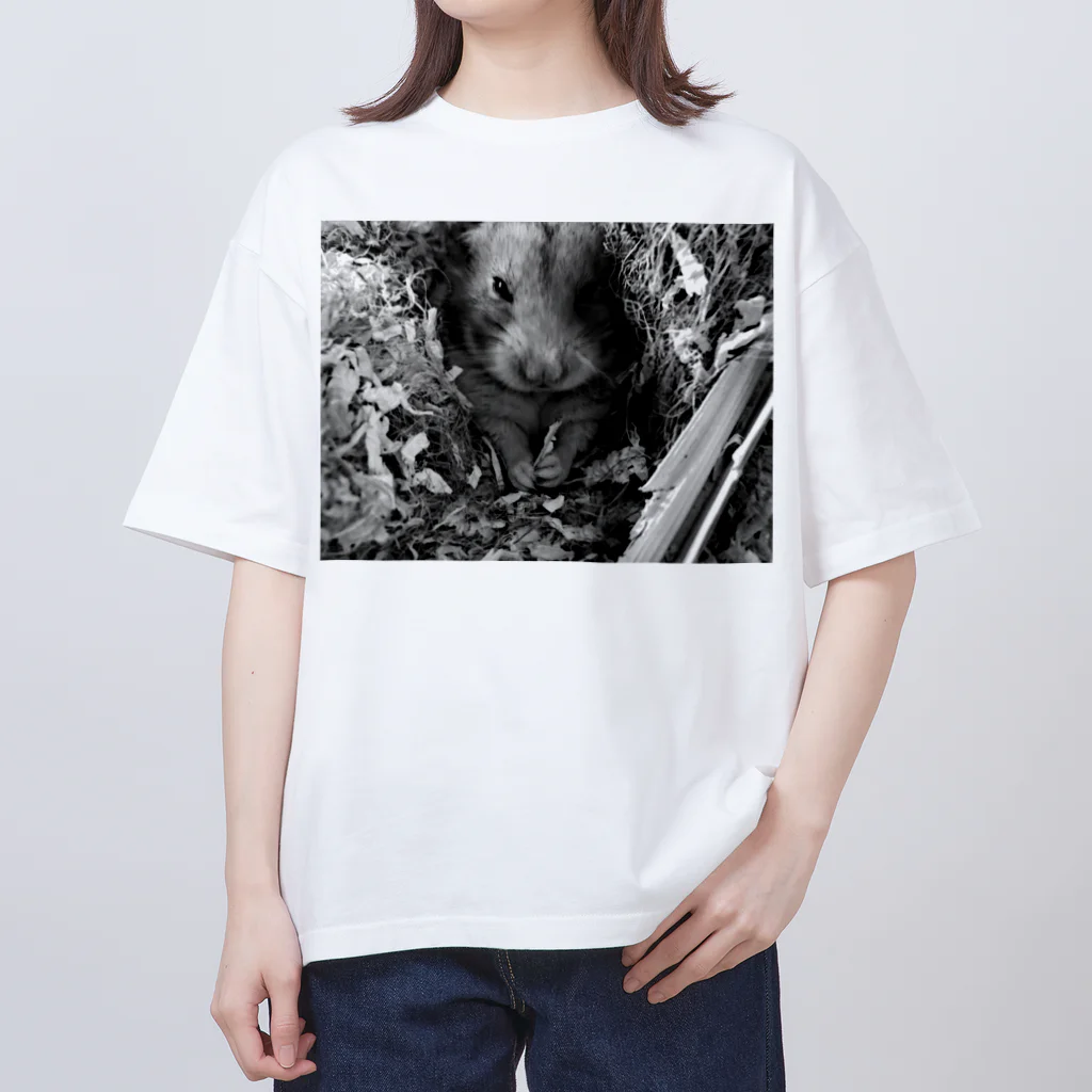 hamster republicのhamster republic(ハムスター共和国)カッコいいはむ オーバーサイズTシャツ