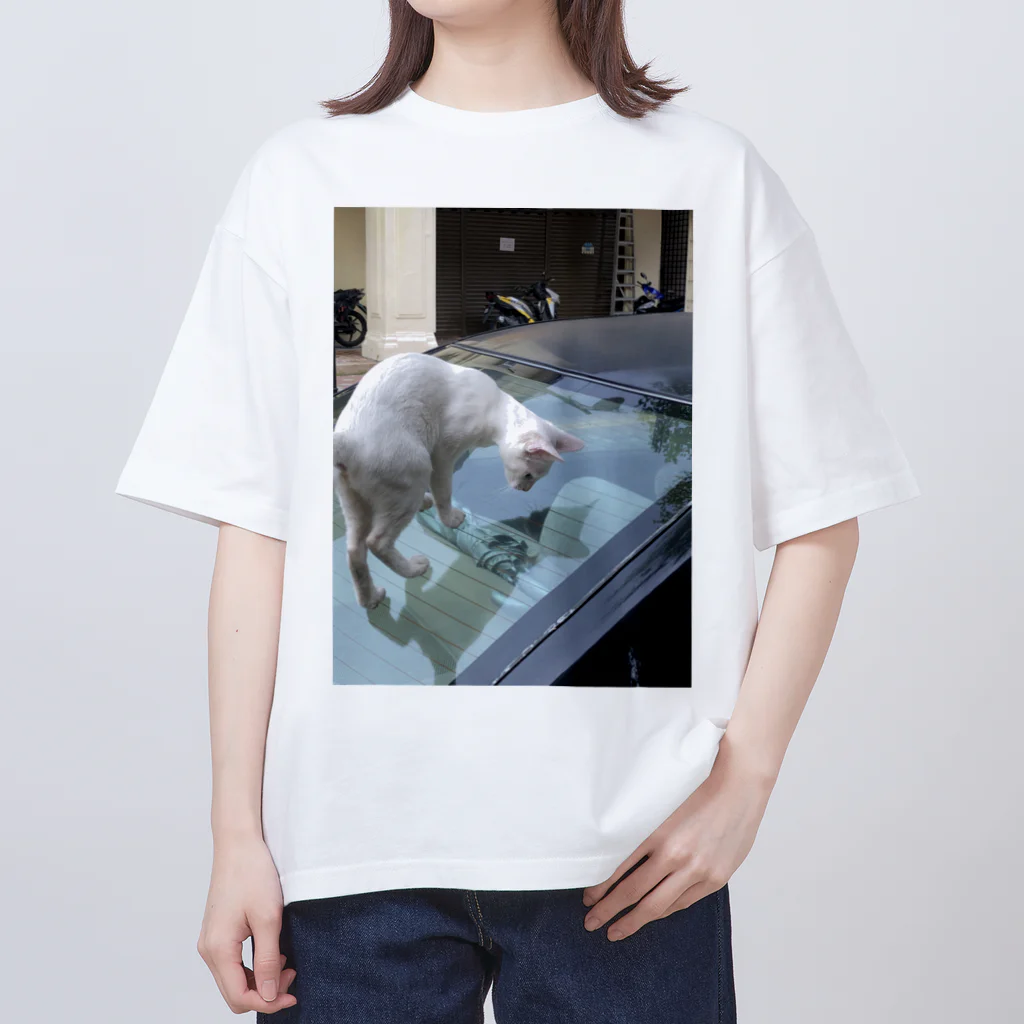 neko2424のアジアの街猫-のぞき見猫 オーバーサイズTシャツ