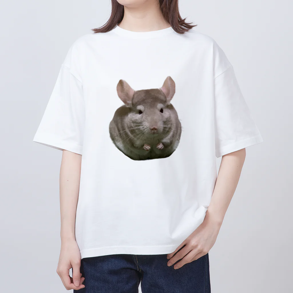 かえるとこもものこももちゃん オーバーサイズTシャツ