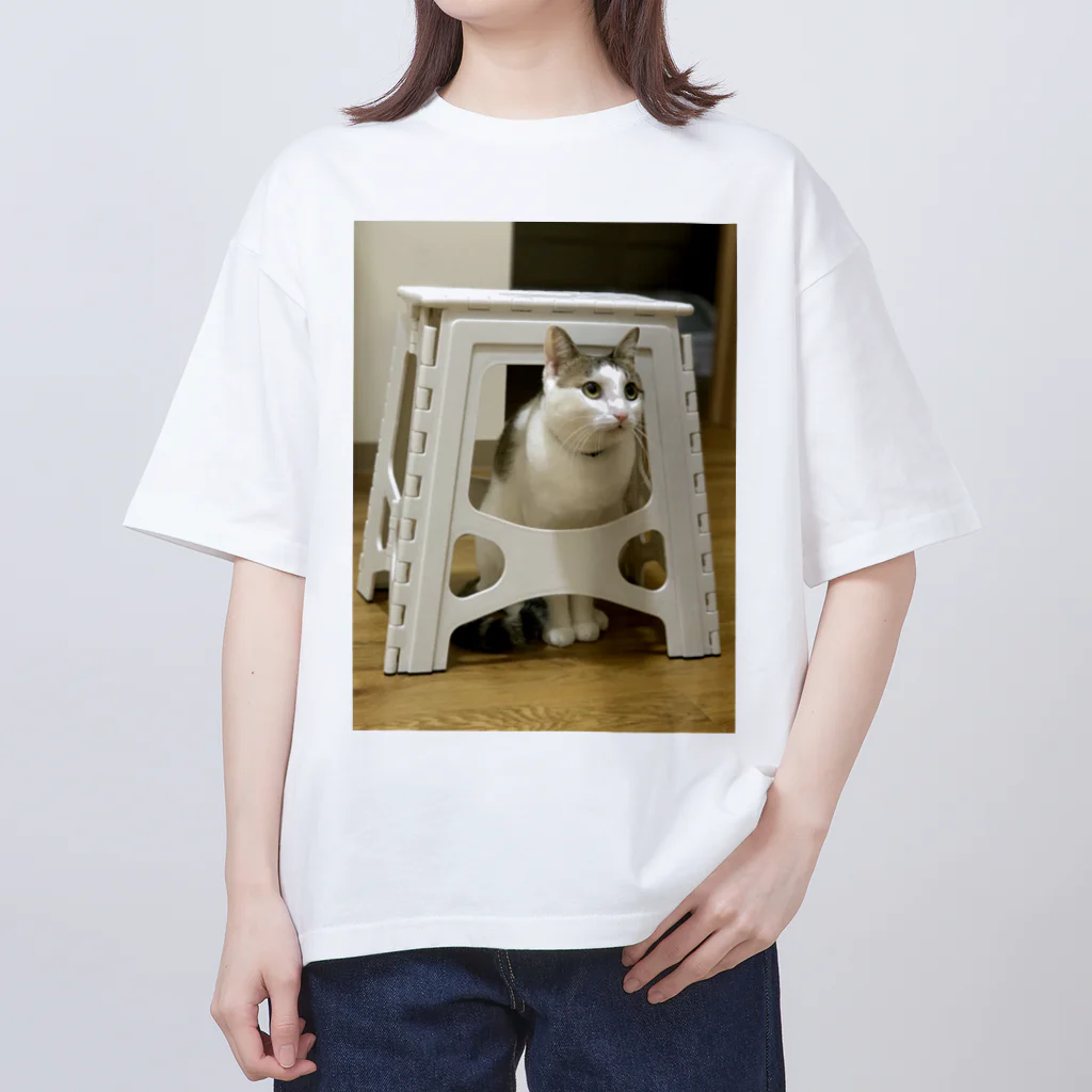 飴色の猫のテオ(かくれてるつもり) オーバーサイズTシャツ