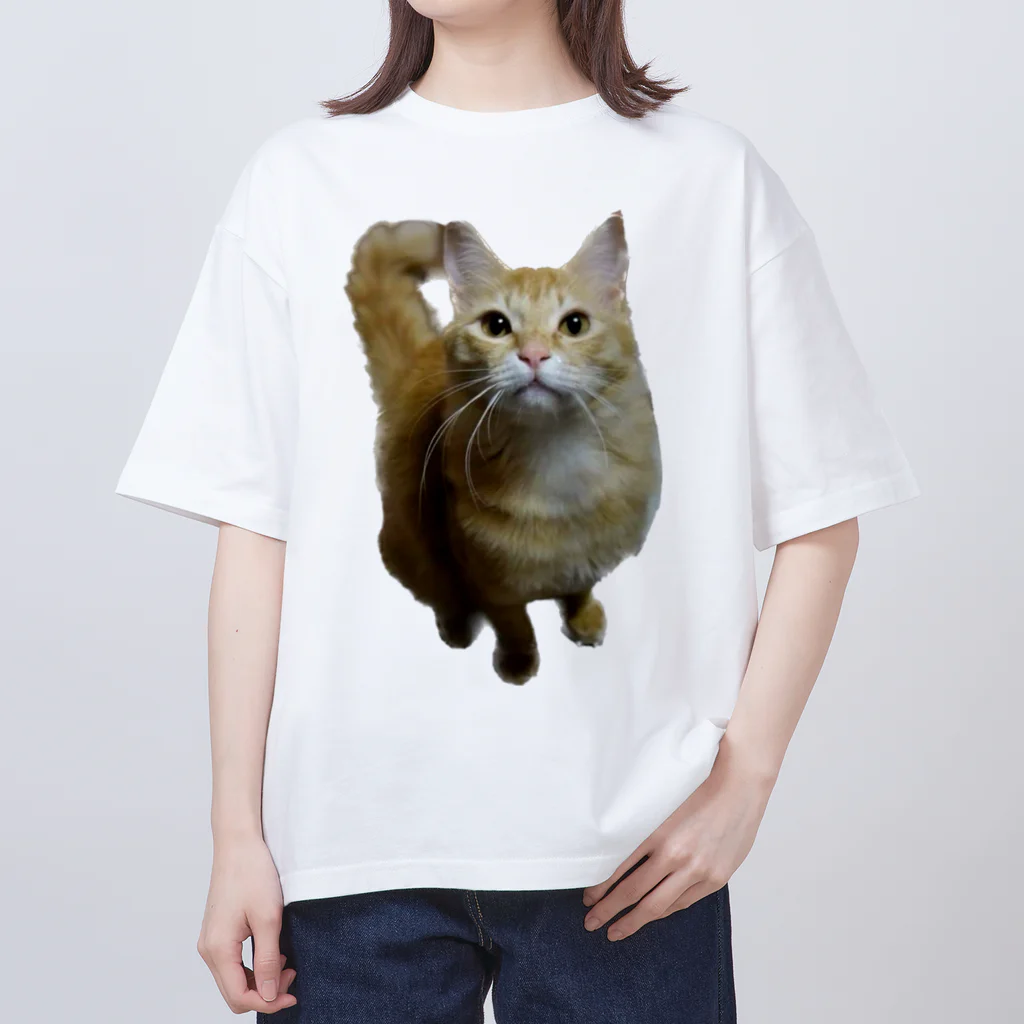 トロールショップの我が家のお猫様が見てます(笑) オーバーサイズTシャツ