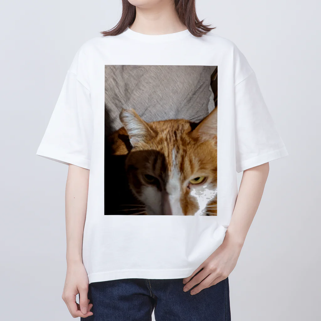 ROM鹿の寝起きを撮られた猫 オーバーサイズTシャツ