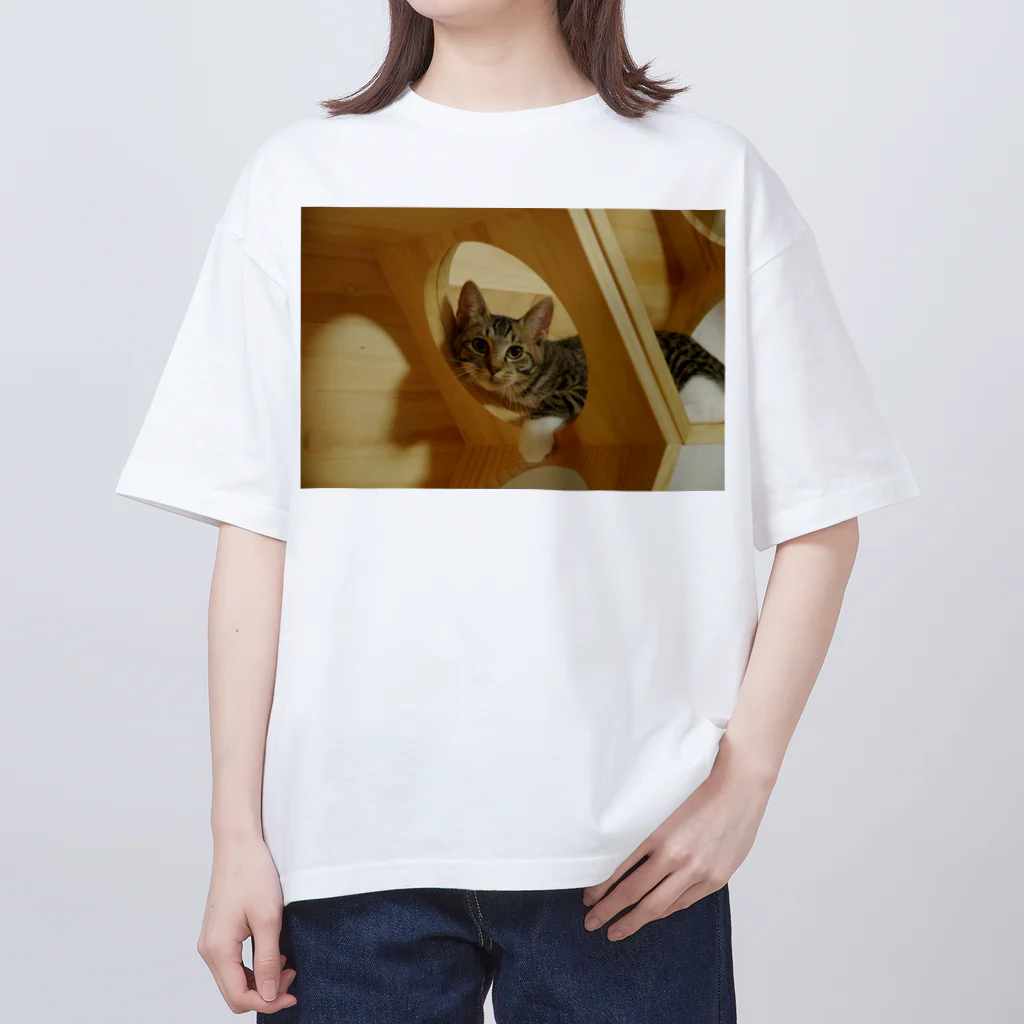 わたなべ家のキャットウォークでご機嫌九ちゃん Oversized T-Shirt