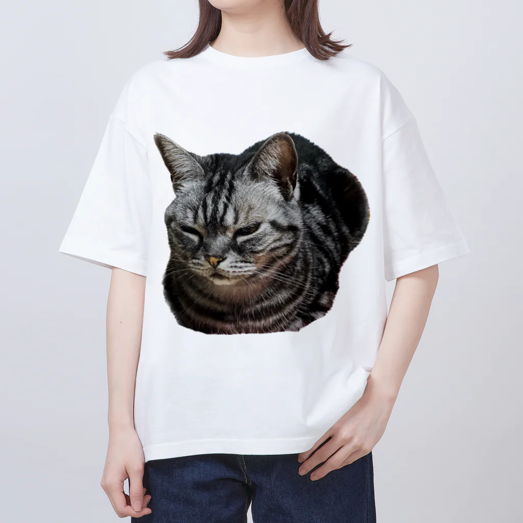 アメショーのひめちゃんのアメショーのひめちゃん② オーバーサイズTシャツ