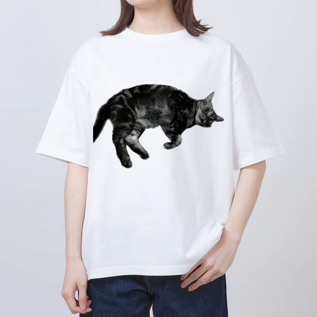 アメショーのひめちゃんのアメショーのひめちゃん⑥ オーバーサイズTシャツ