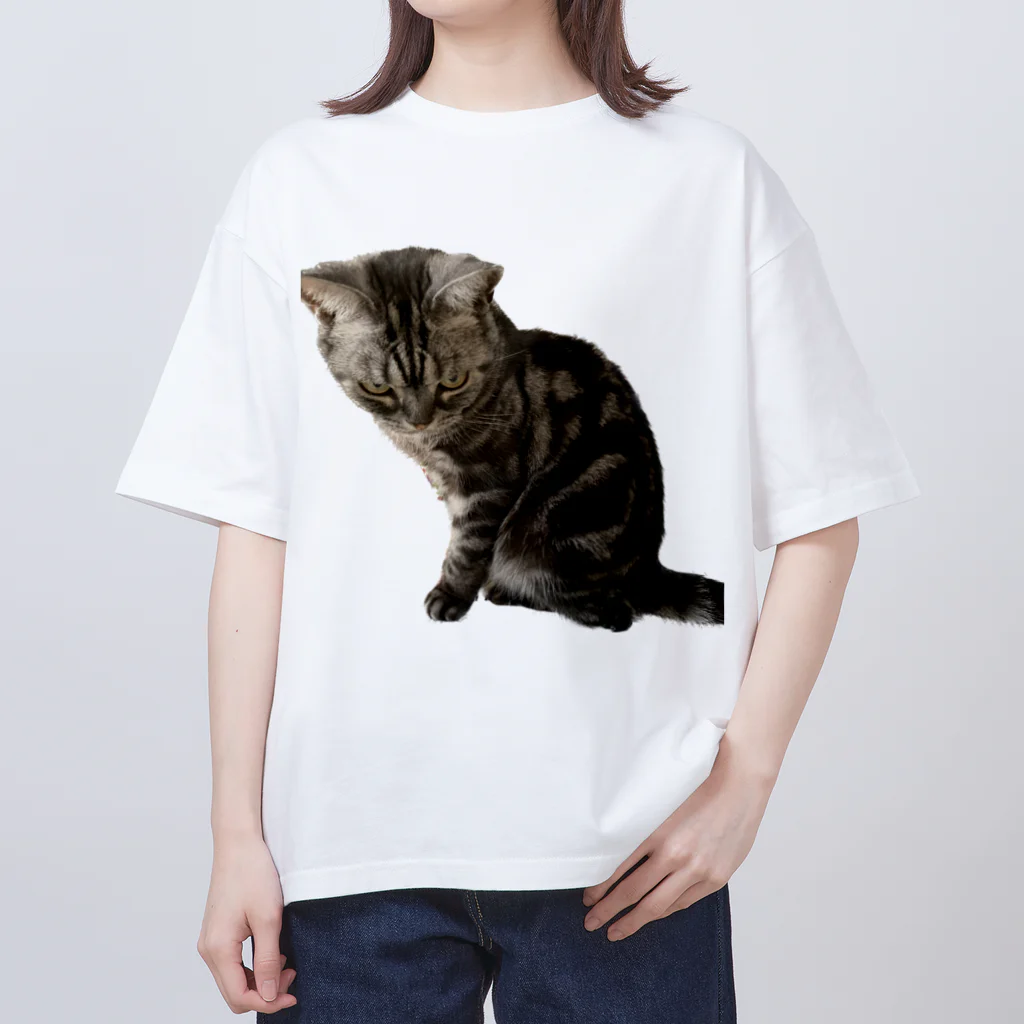 アメショーのひめちゃんのアメショーのひめちゃん⑦ オーバーサイズTシャツ