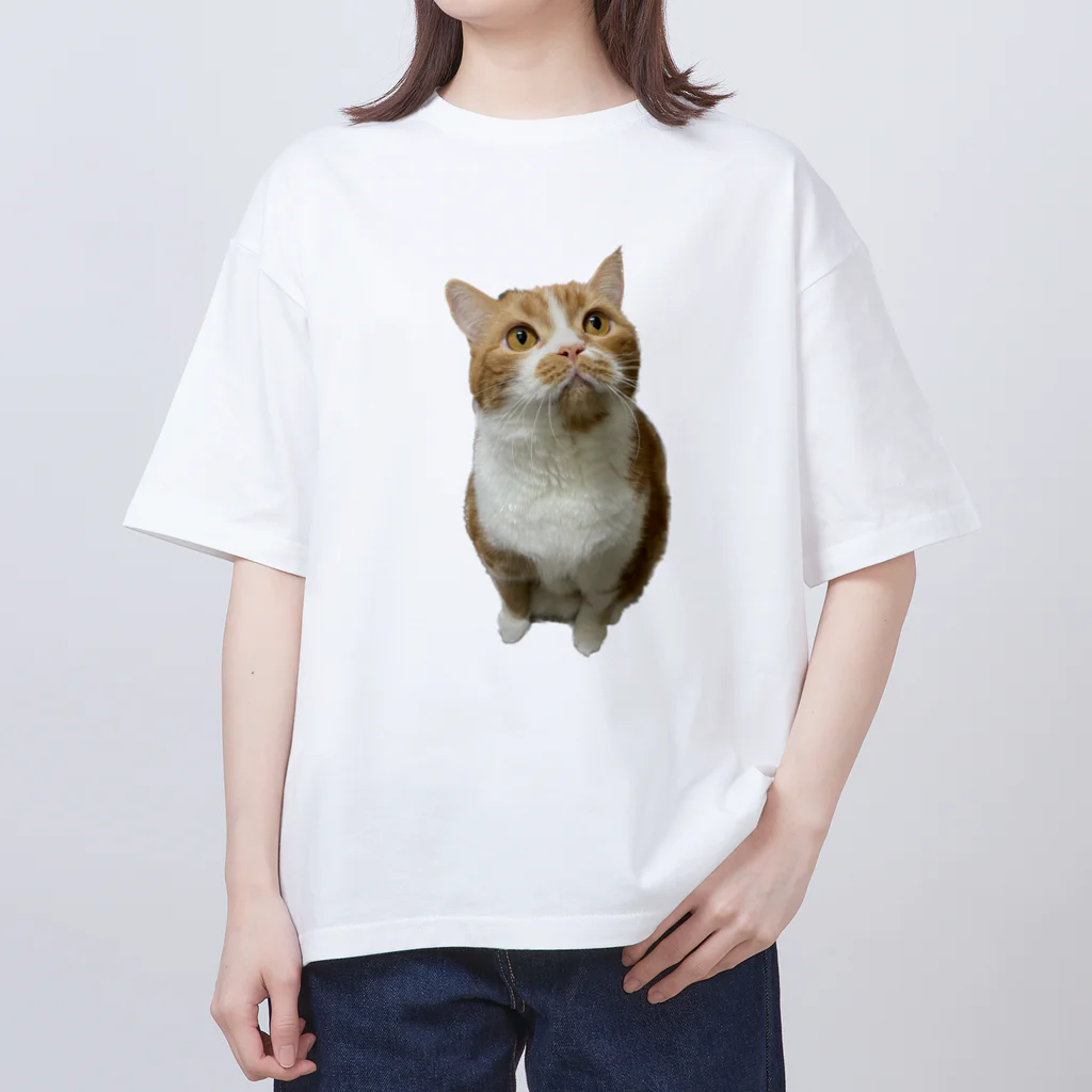 robi_hakuのまるまるロビンくん Oversized T-Shirt