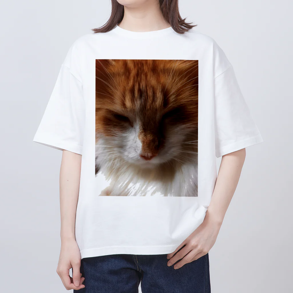 30002500の狸寝入りの術🐈 オーバーサイズTシャツ