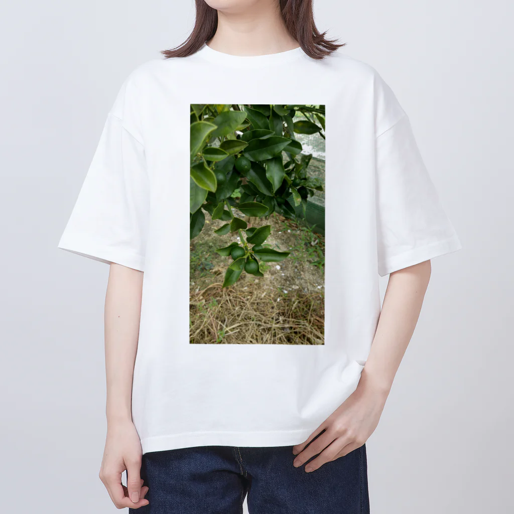 seikonisikooriの緑金柑の実 オーバーサイズTシャツ