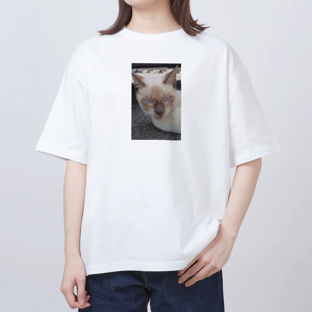 Makoto_Kawano Designの悪そうなのにカワイイ猫ちゃん オーバーサイズTシャツ