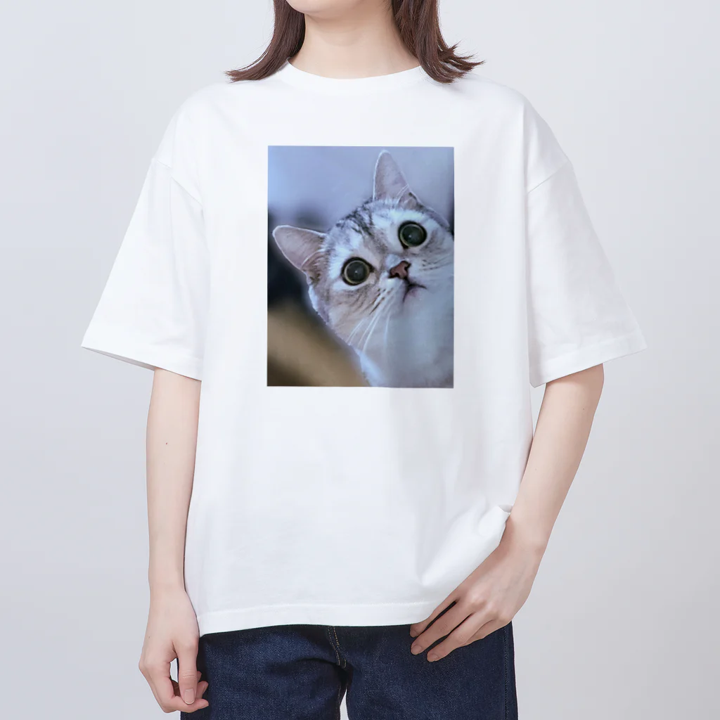 レオロンSHOPの猫の名前はレオ オーバーサイズTシャツ