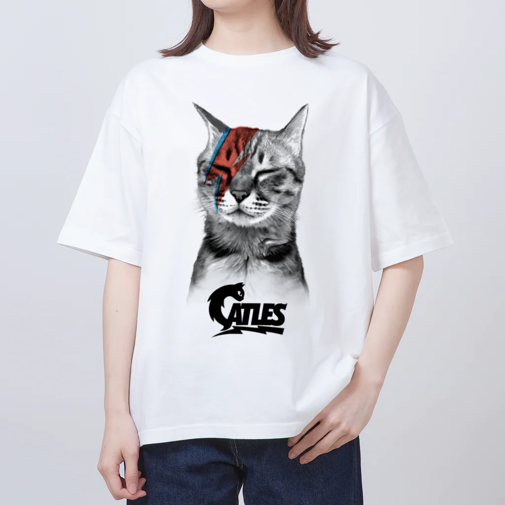 CATLESのCATLES FUKUSUKE BOWIE オーバーサイズTシャツ