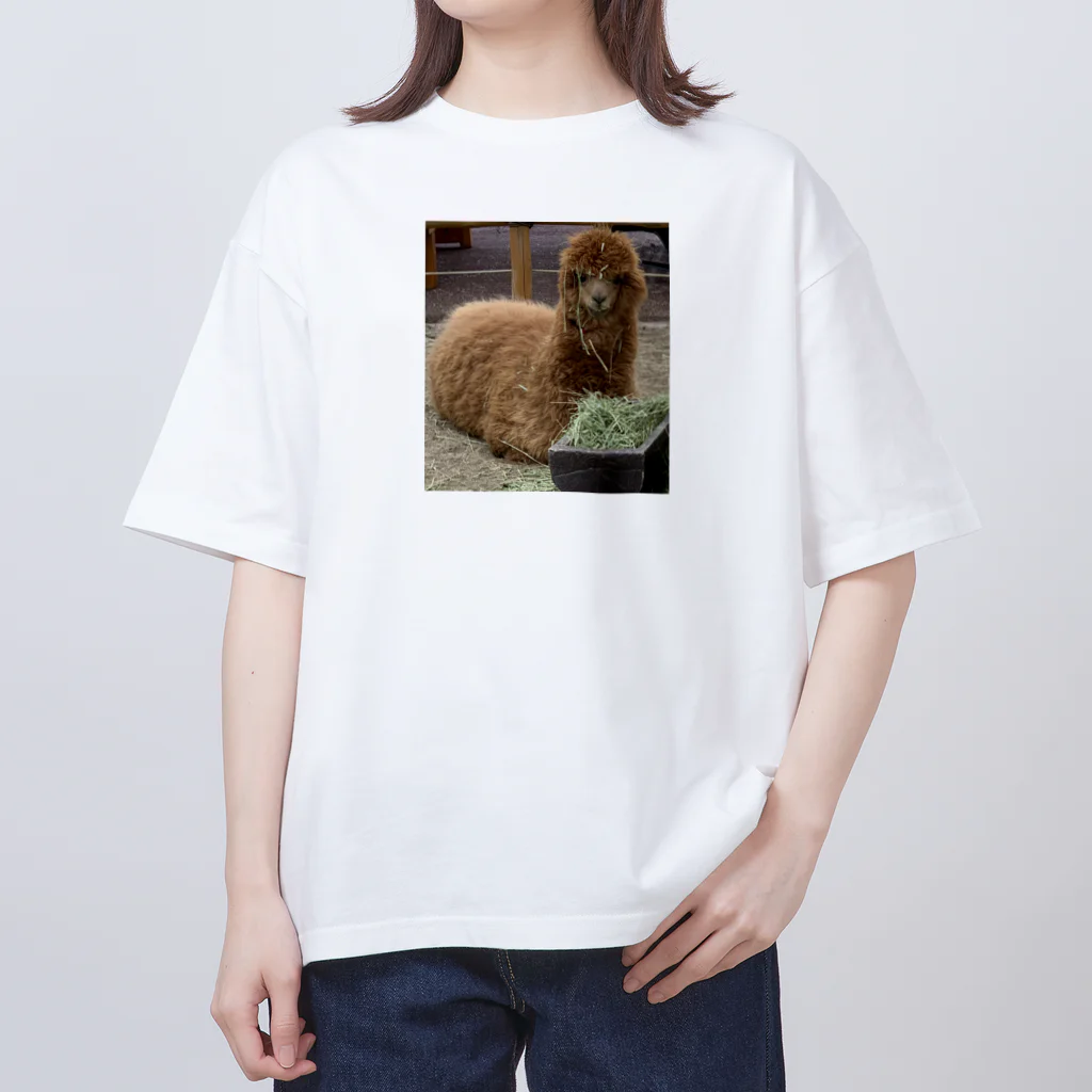 玉手箱のアルパカランチ Oversized T-Shirt