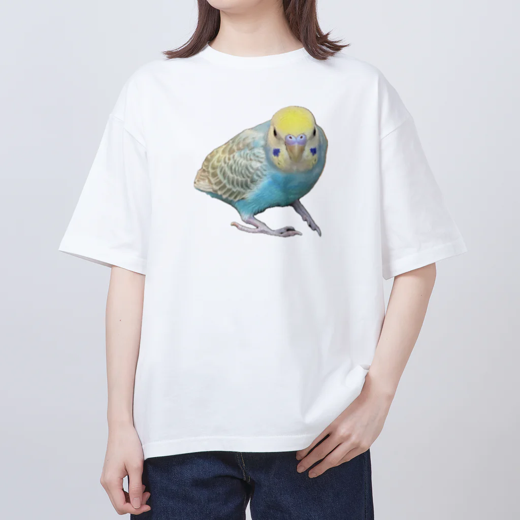 garapagos インコイングッズの癒しインコ Oversized T-Shirt