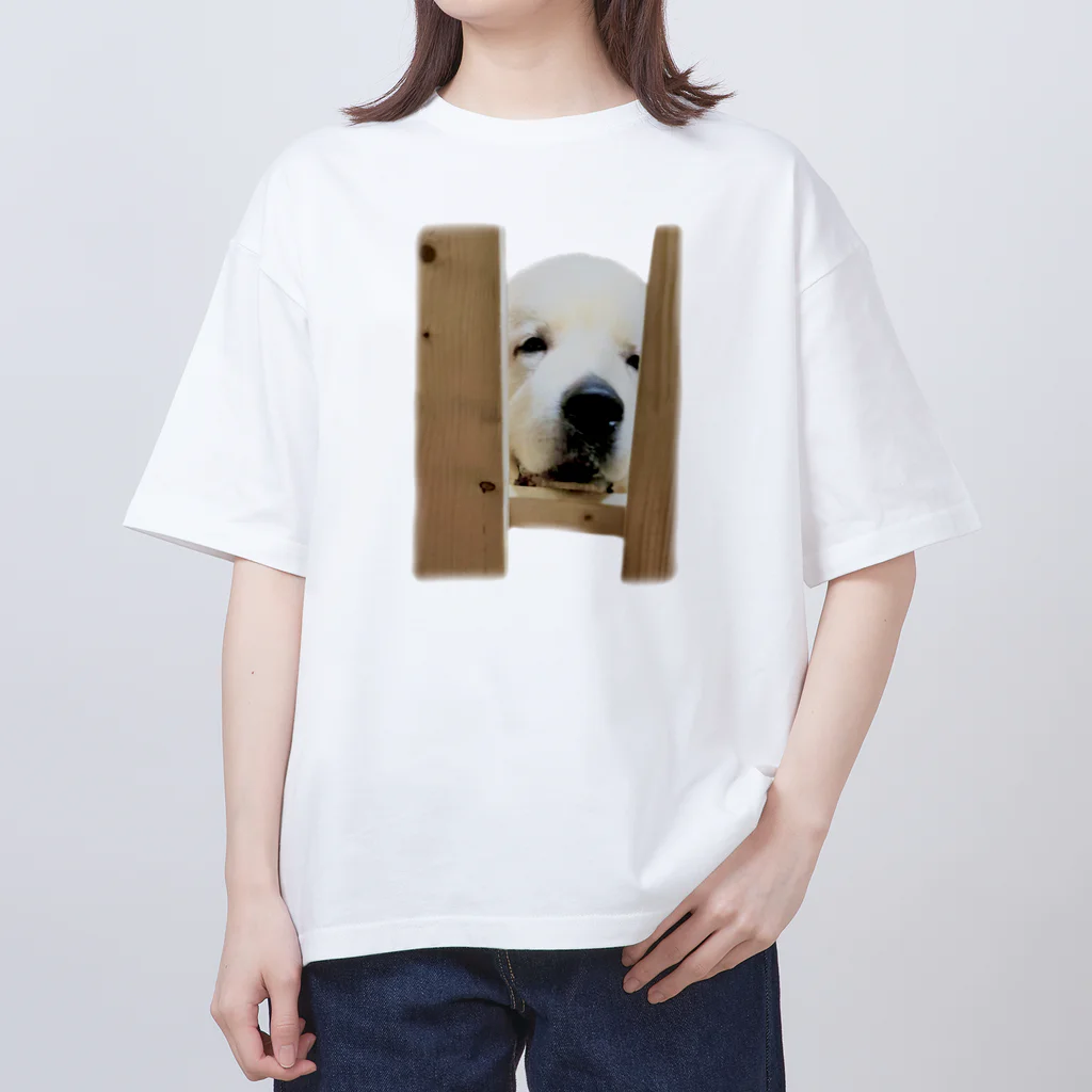 ぽぽののあくん Oversized T-Shirt