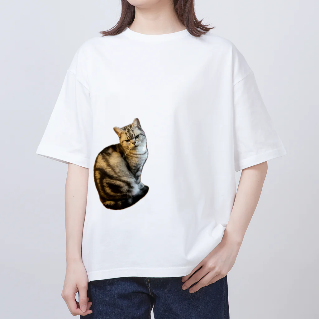 うちの猫ちゃんたちのガン飛ばしとらと オーバーサイズTシャツ