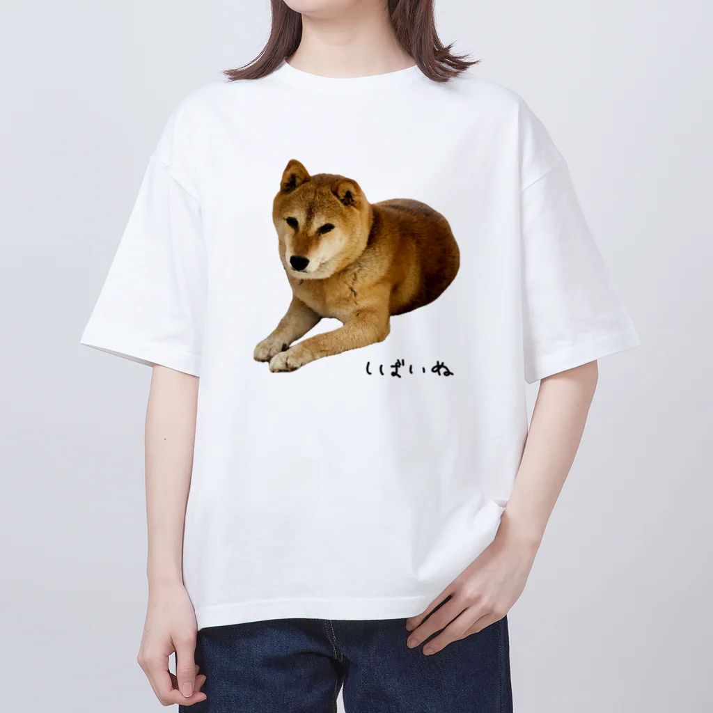 柴犬しばわんこhana873の伏せ？してる柴犬さん オーバーサイズTシャツ