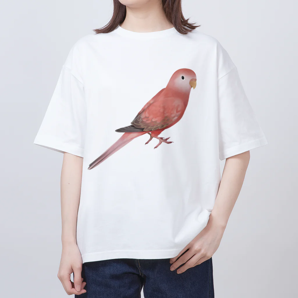 まめるりはことりのアキクサインコ　ピンク【まめるりはことり】 Oversized T-Shirt