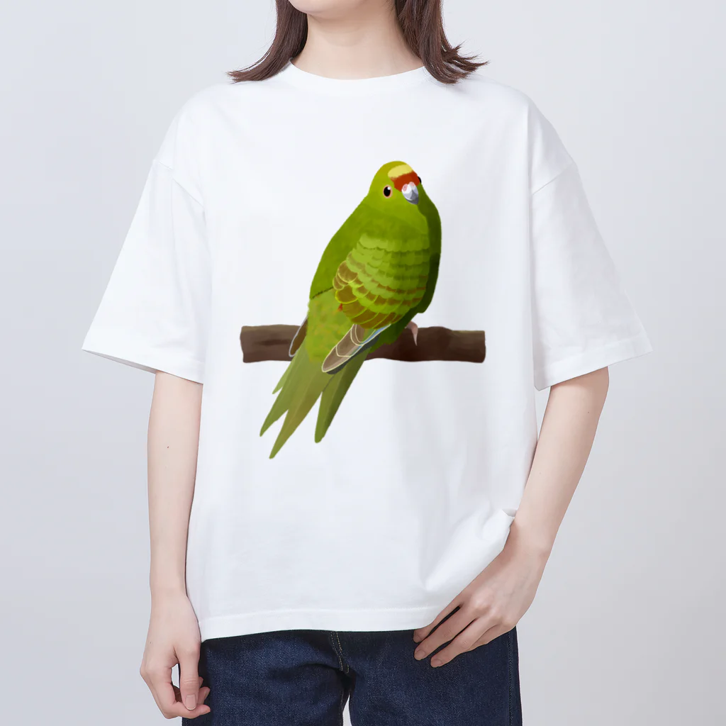 街のいろどりのキガシラアオハシインコ(前面プリント) オーバーサイズTシャツ