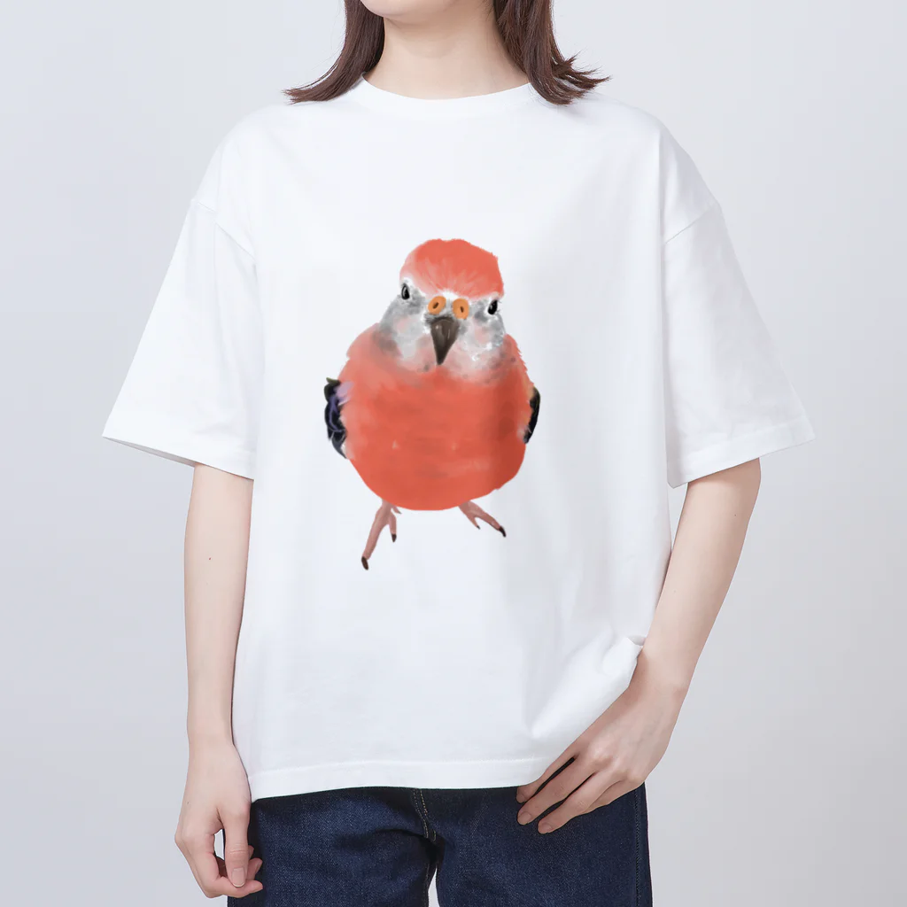 アキクサインコとウロコインコのアキクサインコ Oversized T-Shirt