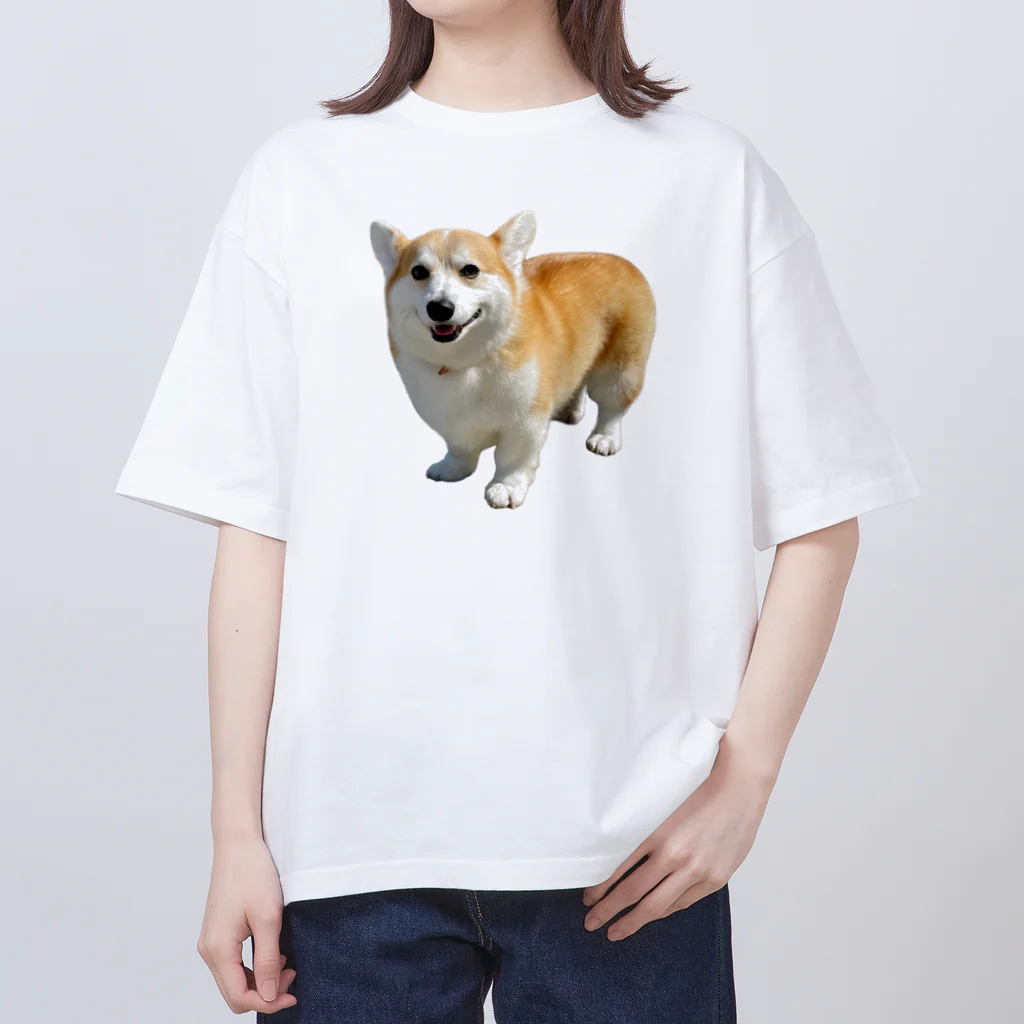 ガブちゃんのふかふか Oversized T-Shirt