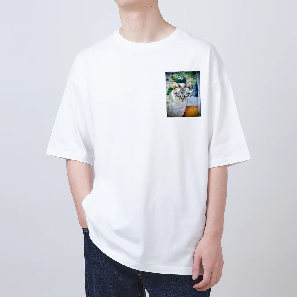 ピリカとカムイの保護猫のカムイ君 Oversized T-Shirt