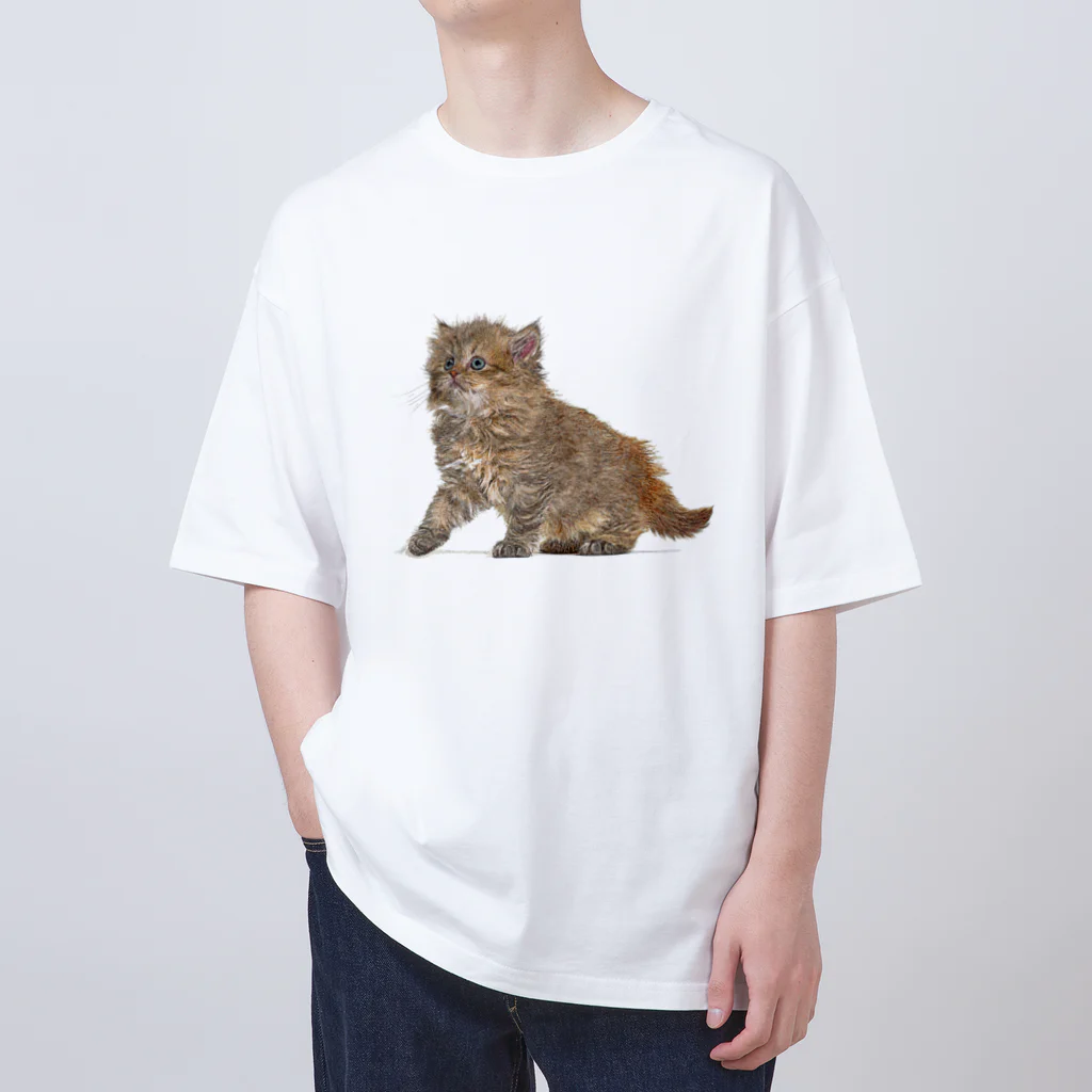 【CPPAS】Custom Pet Portrait Art Studioの可愛いブリティッシュロングヘアの子猫 オーバーサイズTシャツ