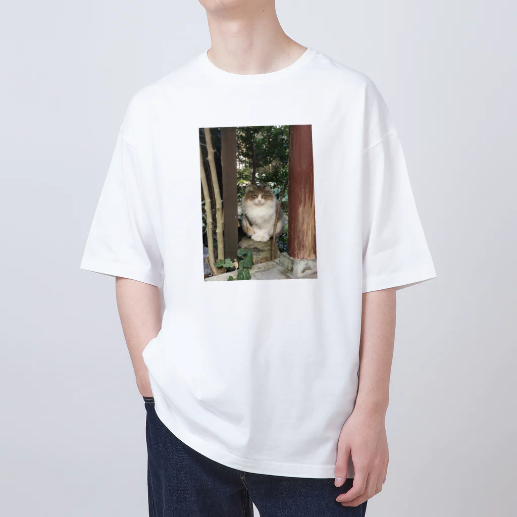 PLANET OF CATS ねこの惑星のmofuneco4 オーバーサイズTシャツ