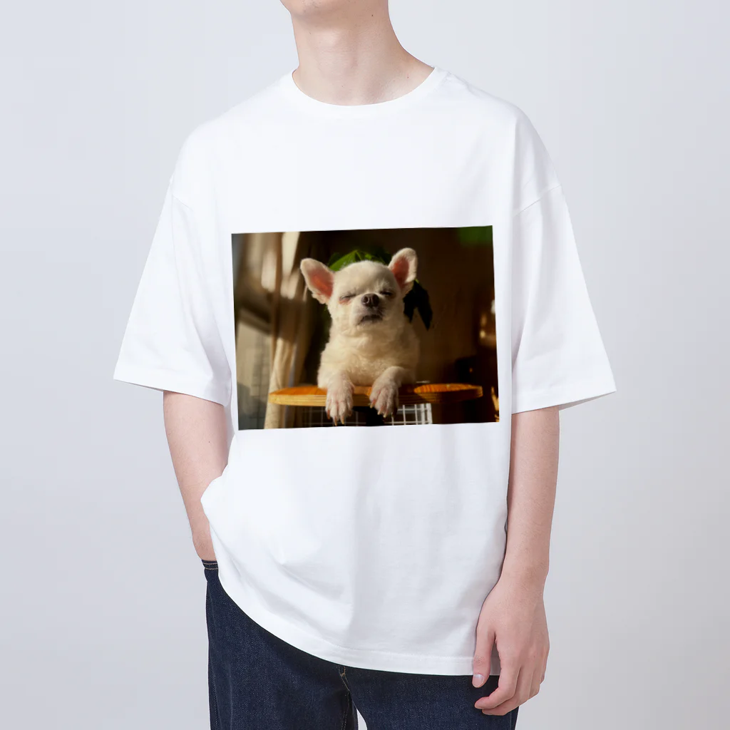 いぬいぬいぬの老犬は世界で一番素晴らしい Oversized T-Shirt