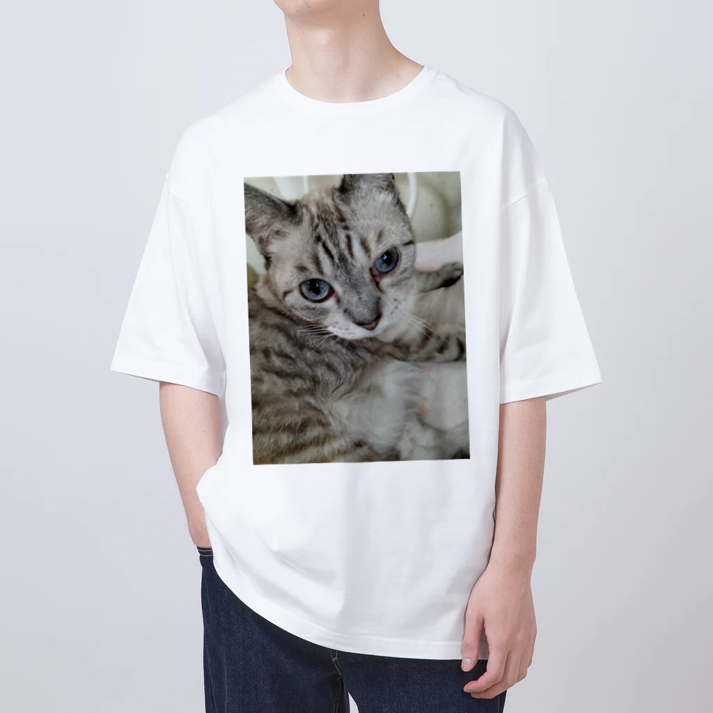 ねこの森でお散歩のフッワフワのシャムミックス オーバーサイズTシャツ