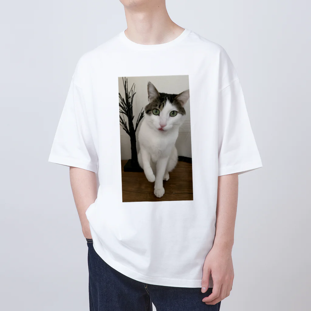 飴色の猫の紋さん(ペロリ) オーバーサイズTシャツ