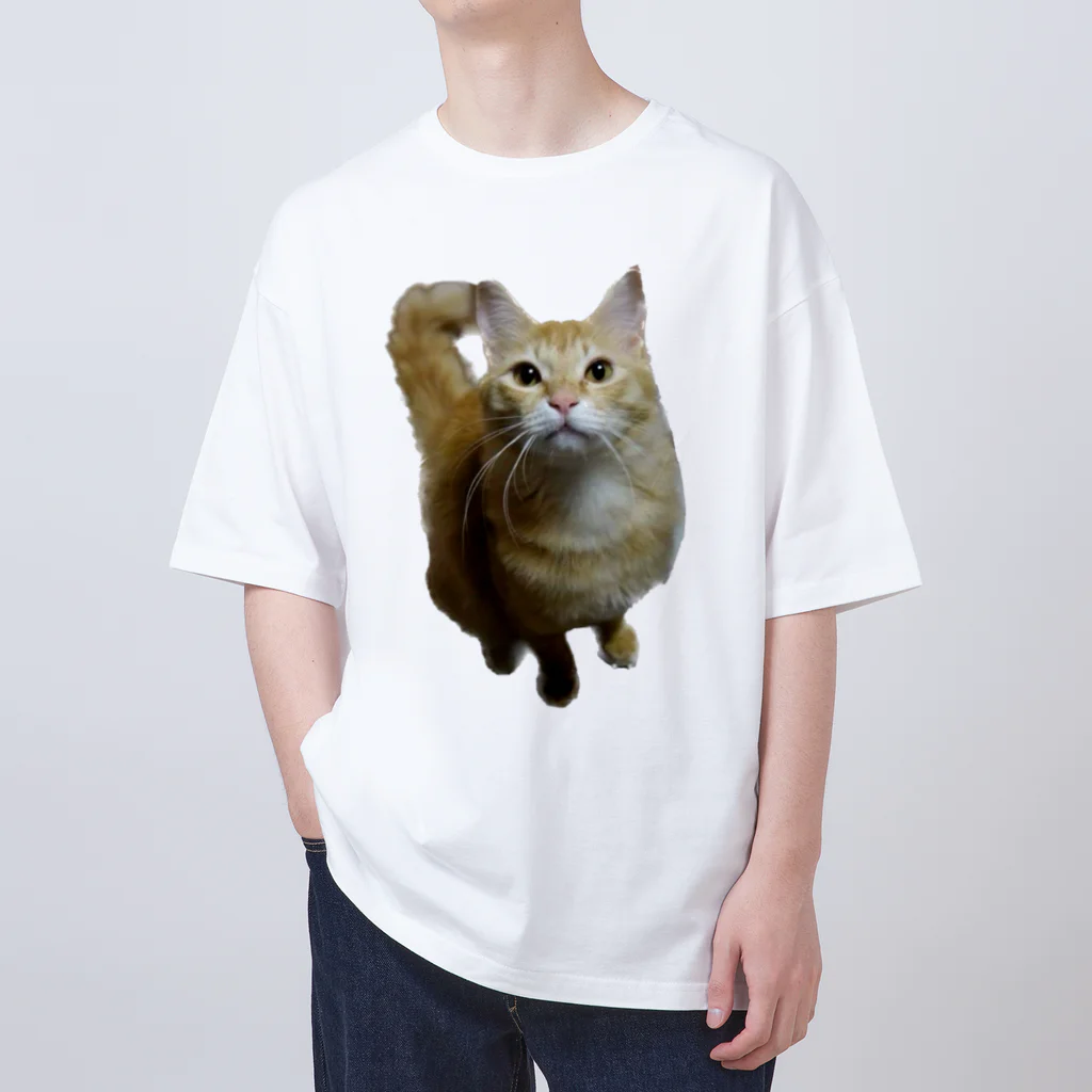 トロールショップの我が家のお猫様が見てます(笑) Oversized T-Shirt