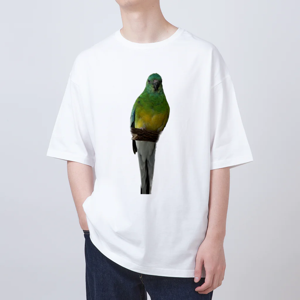 Tam&Naoのビセイインコ オーバーサイズTシャツ